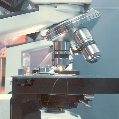 Medicine and Science