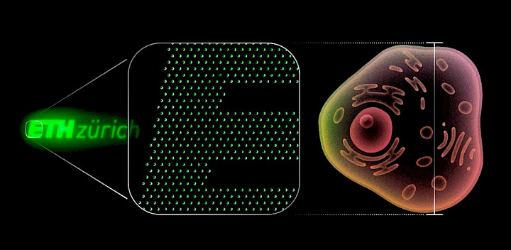 Neues aus der Lichtforschung